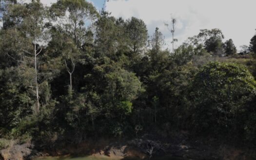 Guatapé Main Town Lake-Access Lot for Sale – MLS 251256